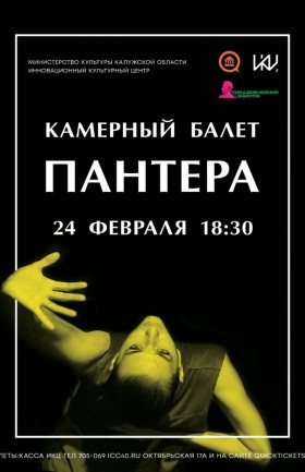 Вечер современной хореографии от камерного балета «Пантера»