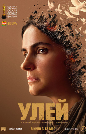 Улей